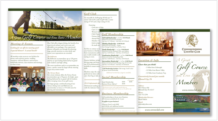 Media Frogg trifold brochure example