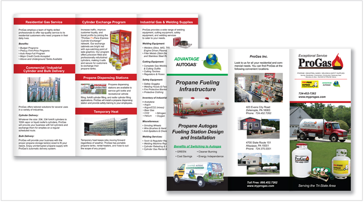 Media Frogg trifold brochure example